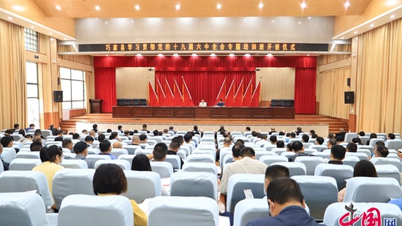 自考本科专业选择：好考与难考的奥秘解析
